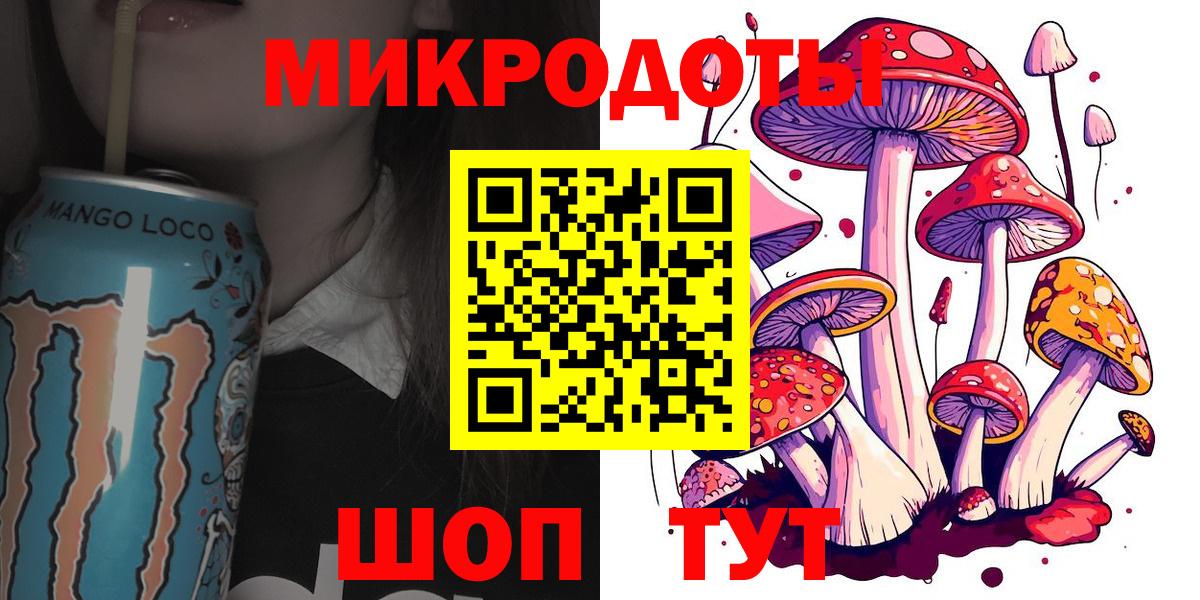 Сунжа  Псилоцибиновые грибы мухоморы  Вход с VPN 