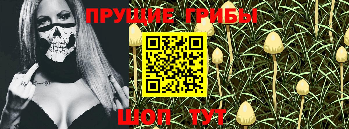 Псилоцибиновые грибы MAGIC MUSHROOMS Сунжа