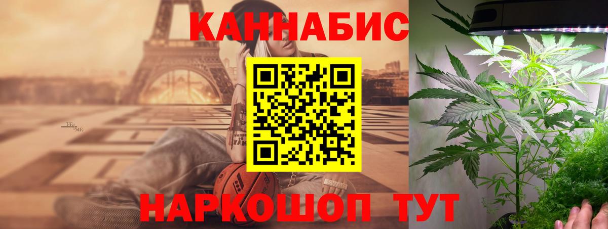 Бошки Шишки ГИДРОПОН  Бошки марихуана планчик  Сунжа  Вход с VPN  Бошки Шишки SATIVA & INDICA 